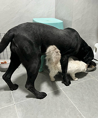 ���è�͹����ദ�ú����