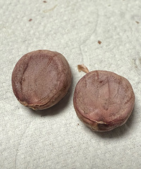 �Թ���óԵĻ��������ϻ�̫�����ˣ��óԵ�ħ����