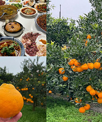 ���ش塱ȥժ�����ӣ�����Ҳ���ó�