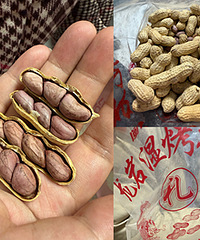 �������̫�ó��ˣ�һ���Ͼ͸ɵ�һ��