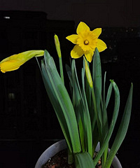 ��ˮ�ɾ��������С̫��