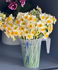 �������������ˮ�ɲ�29