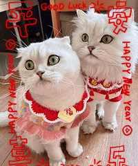 ��ǰ��2������������·�