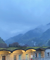 下大雪啦!8号下大雪去的金佛山,今天还会有小雪