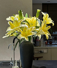 ���Ǽ�ˮ���ٺϻ���16��