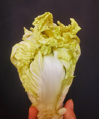 ˹궼ʲôʳοһ£ҪóԲֵ