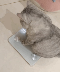 ������ֵ��������ˮ���޵ص�9.9������ơ��12��45