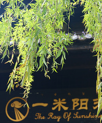 90年爱好自驾和露营的哥子征婚,希望对方87~95年