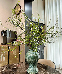 ѩ�����������ö�����ը��