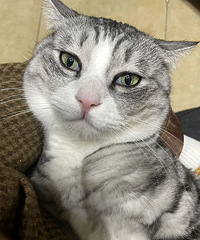 è����ʧ�ܣ��ֳ�����