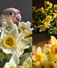 ˮ�ɻ��������ǹ��꣡��100֦��29