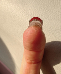 这就是戴穿戴甲的后果!简直太惨了