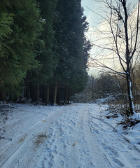 武陵山露营,雪真大