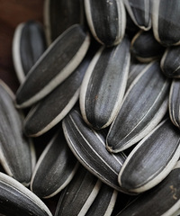 [����]������ӻ����ٲ��ˣ�������һ����͹��ӣ��Թ��Ķ�˵��