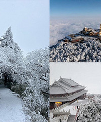 �´�ѩ+��ۣ����쵱ȻҪȥ��üɽ