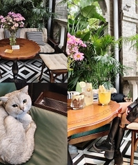 �º��������������˿��ȵ꣬ȥ��һ��