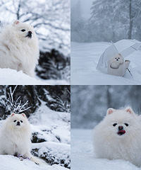 ��Ůɽ����ѩ�ˣ����պ��ж��շ�Χ��