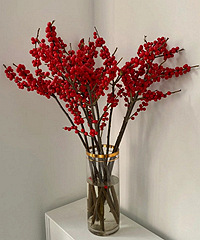 ����Ķ����ܼ�ֵ�������