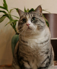 è���ʳɹ��ˣ����Ǿ�����