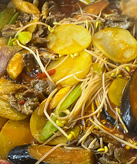 ��������չ����N��Σ��Լ۱ȸ�ζ�����ʣ�