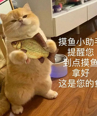 ������ֵ���򡿺�ʱ�ɿ���һ��48�����������ѻ������59