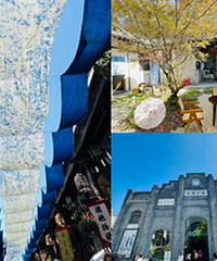 �������꣬�Լ�ȥ���������һ��