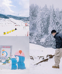 �����ܱ�ˣѩ�������������