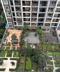 ����С��Ĵ�¶̨����ҵ�������ֲˡ���ͤ���ˡ�����Ϲ���