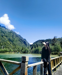 92��164CM��еרҵ��С������飬����2ֻè