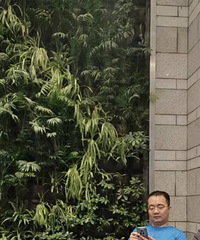 85年172CM不抽烟的创业哥子征婚,希望对方33岁以下
