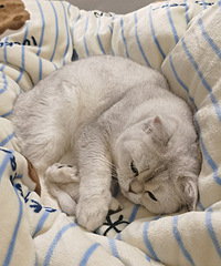 �ҼҹԹ�ÿ����Ҫ������˯