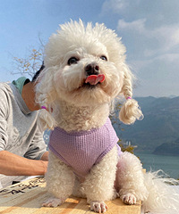 �������۶�ϴ��ȫ��ƭ��ȥ