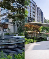 ���������������С���ǣ�������ɭ�˰��������紨