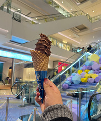 ������ʿ����������һ�Σ�����۸����Ͳ˭����