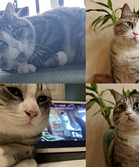 è���ڼ��ʳɹ��ˣ���Ҿ���Ч��������