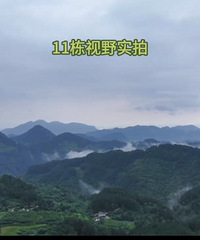 ����������ܺ�����Ż�ת��