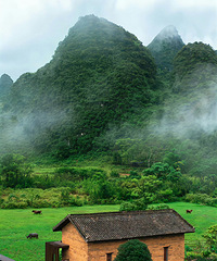 ��ǰ����ũ�����������ȴ��������������