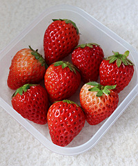 ��ݮ��ǰ���һ�ţ�����~