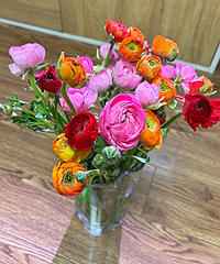 22Ԫ����������ɫ��ĵ��