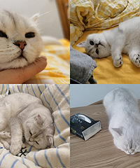 �Ҽ�С�ɰ���ÿ�����϶�Ҫ������˯