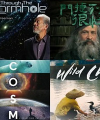 值得娃反复刷的21部学科纪录片