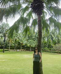 86160CMгзС飬ϣԷ൱