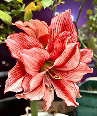 �춥����ȣ���ͦ�ÿ���