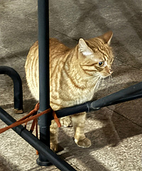 С�������˴��ٺ÷ʺ�Բ��