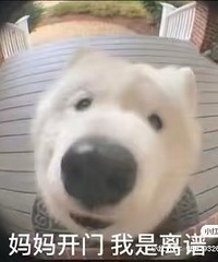 离谱我昨晚梦见了恐龙,这一切还得从我昨天下午飞到三亚说起