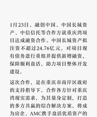 �����ڴ�����Ŀ�����й������ʲ�24.76���ʽ�֧�֣�