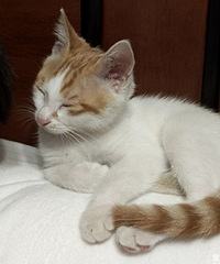 ��ҽԺ�����߰�ɶ��û���