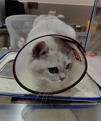 è3��ǰ������ɾ����ƻ�