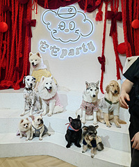 ��ҵ��и��ֶ��ͦ�ɰ�