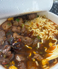 ���ڵĺ���ţ���棬�Լ��յ�ԭ��ţ�⽽�ڷ�������